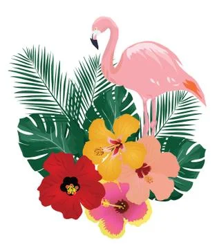 Vector Tropical Birds Stock Illustration
