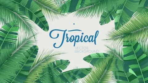 Vector tropical botanical plants, background with leaves of coconut and banan Illustrazione stock