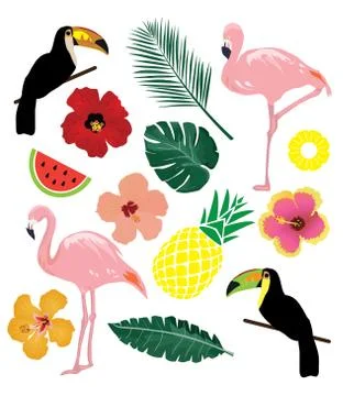 Vector Tropical Elements Stock Illustration