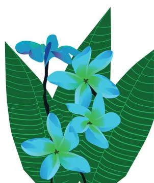 Vector Tropical Flowers Stock Illustration