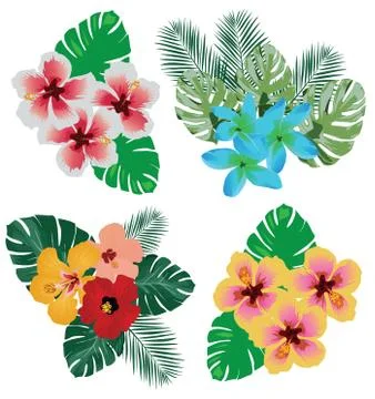 Vector Tropical Flowers Stock Illustration