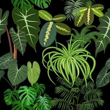 Vector tropical jungle seamless pattern with palm trees leaves and flowers Illustrazione stock