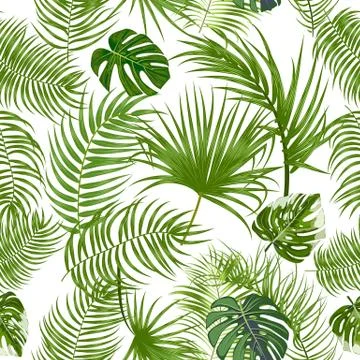 Vector tropical jungle seamless pattern with palm trees leaves and monstera イラスト素材