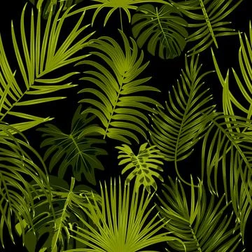 Vector tropical jungle seamless pattern with palm tree leaves イラスト素材