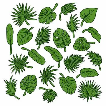 Vector Tropical Leaf Silhouette Icon Set. Flat Vector Green Monstera, Ficus Stock-Illustration