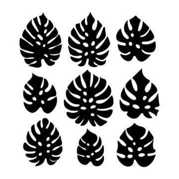 Vector tropical leaf silhouette set Stock Illustration