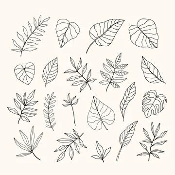 Vector Tropical Leaves set, hand drawn design elements Illustrazione stock