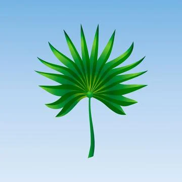 Vector tropical palm leaf on blue background Stock Illustration