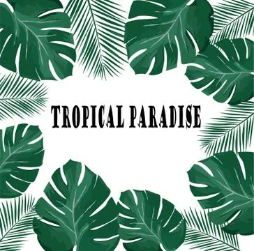 Vector Tropical Paradise イラスト素材