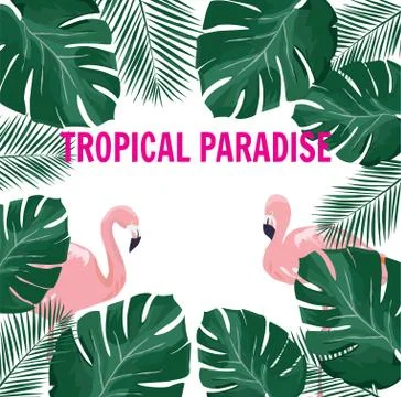 Vector Tropical Paradise イラスト素材