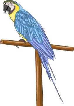 Vector. Tropical parrot. Illustrazione stock