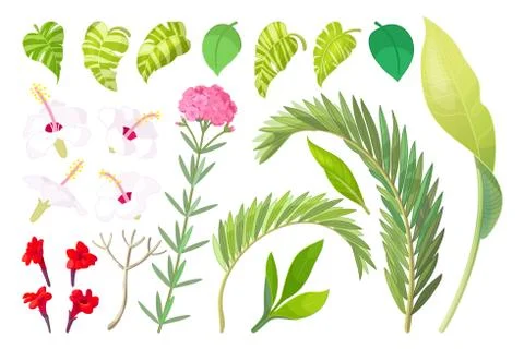 Vector tropical plant objects set 스톡 일러스트
