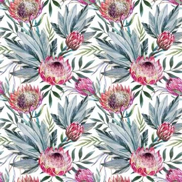 Vector tropical protea pattern 스톡 일러스트
