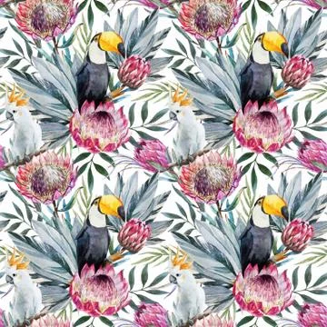 Vector tropical protea pattern Stock Illustration