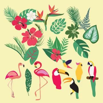 Vector Tropical set of tropical elements. Stock Illustration