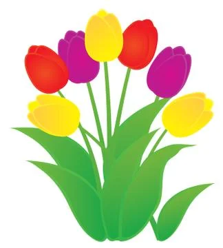 Vector tulip flowers Stock Illustration