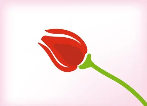 Vector tulips Stock Illustration