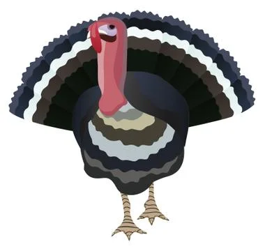 Vector turkey Stock Illustration
