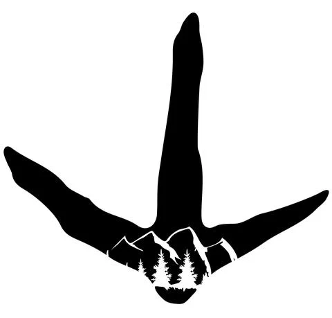 Vector turkey track Stock Illustration