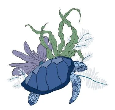 Vector turtle and coral kelp. Underwater animal and plant illustration isolated Stock Illustration