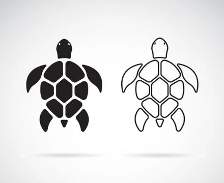 Vector of turtle design on a white background. Reptile. Animals. Easy editabl Stock Illustration