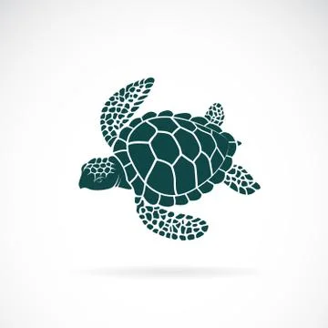 Vector of turtle design on a white background. Wild Animals. Underwater anima Stock Illustration