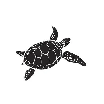 Vector of turtle design on a white background. Reptile. Animals. Easy editabl Stock Illustration
