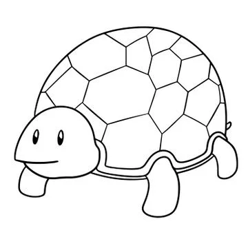 Vector of turtle Stock Illustration