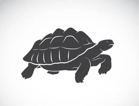 Vector of a turtle on white background. Reptile. Wild Animals. (Geochelone .. Stock Illustration