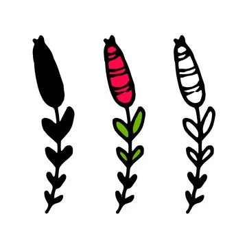 Vector twig with a red oval berry with a pattern of stripes and green leaves Stock Illustration