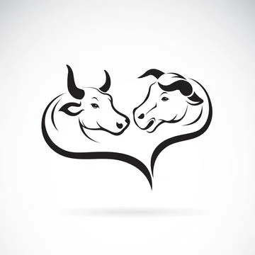 Vector of two bull head design on white background. Easy editable layered vec Illustrazione stock