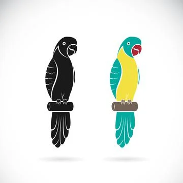 Vector of two parrot design on white background. Easy editable layered vector 스톡 일러스트