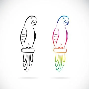 Vector of two parrot design on white background. Easy editable layered vector Stock Illustration