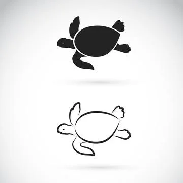 Vector of two turtle design on white background. Easy editable layered vector Stock Illustration