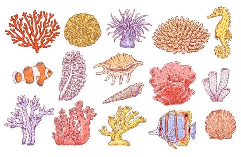 Vector underwater plants corals fish shell set Stock Illustration