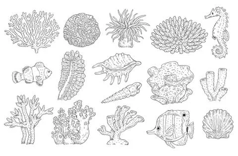Vector underwater plants corals fish shell set Stock Illustration