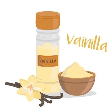 Vector vanilla illustration isolated in cartoon style. Spanish name. Herbs .. Stock Illustration