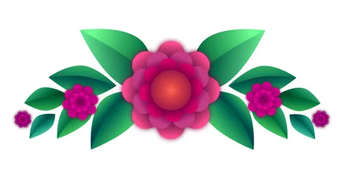 Vector vector animated flower blooms and leaves appear. Alpha channel 스톡 동영상 88466573