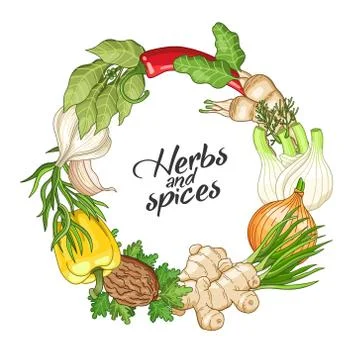 Vector vegetable circle template with spices Stock Illustration