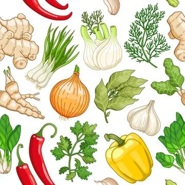 Vector vegetable pattern with herbs on white Stock Illustration
