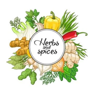 Vector vegetable round design with spices 스톡 일러스트