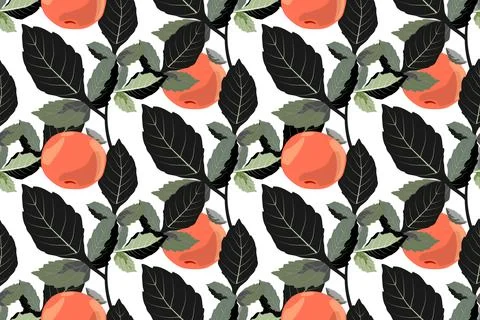 Vector vegetable seamless ornament with tangerines. Orange fruits with dark Stock Illustration