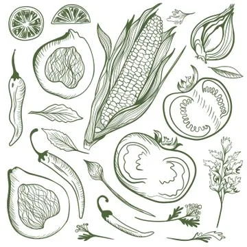 Vector Vegetable Sketch Set Stock Illustration