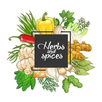 Vector vegetable square design with spices 스톡 일러스트