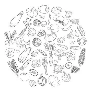 Vector vegetables icons in line style. Big set. Stock Illustration