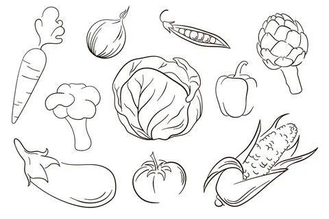 Vector vegetables set in line art style. Collection of vegetables. Line art Stock Illustration
