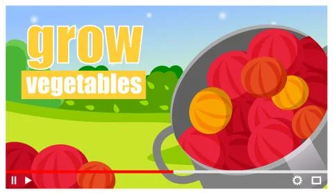 Vector video player interface. Screensaver of tutorial about growing vegetables 스톡 일러스트