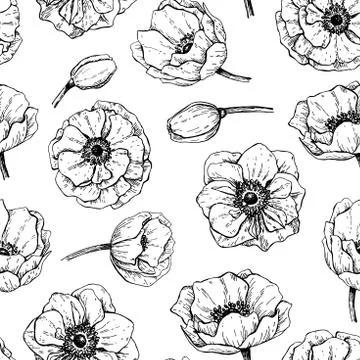 Vector vintage anemone seamless pattern. Hand drawn illustration Stock Illustration