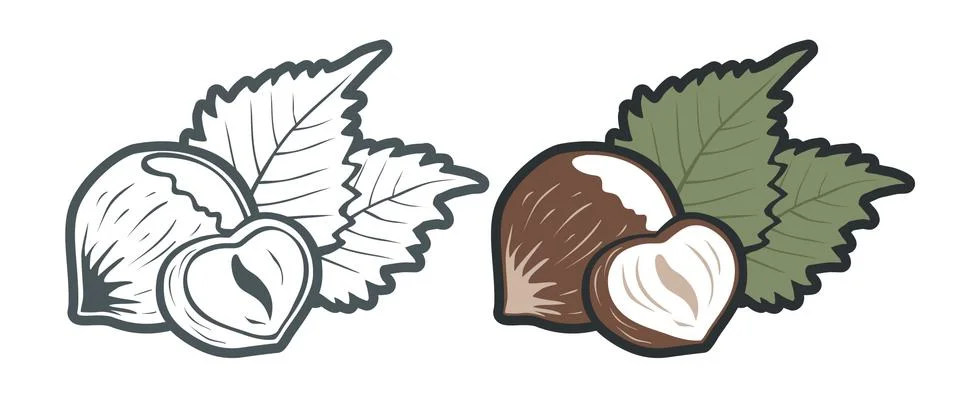 Vector vintage emblems hazelnuts Stock-Illustration
