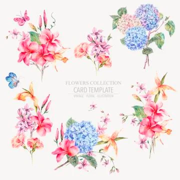 Vector vintage floral set of hydrangeas, orchids Stock Illustration